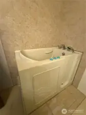 downstairs bathroom with walk in tub