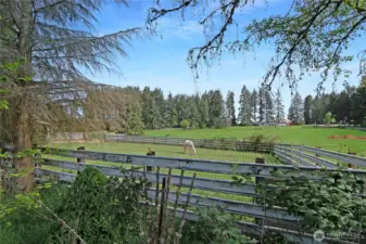 one of the paddocks