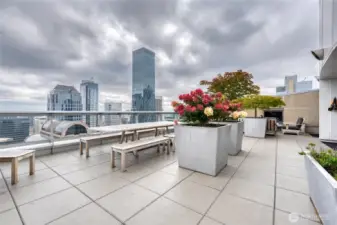 East Deck