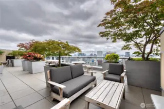 East facing deck with Two BBQs and two fireplaces