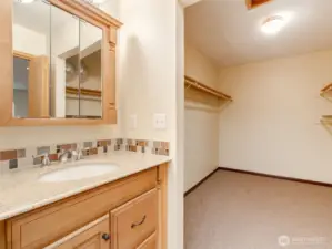 Primary Suite Bathroom w/ walk-in closet