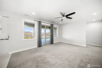 Lower level family room