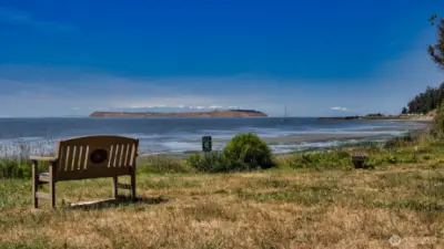 Memorial Park - a community beach a short jaunt from 220 Colman