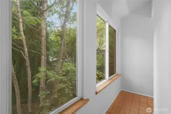 Sunroom behind fireplace- Great for plants!
