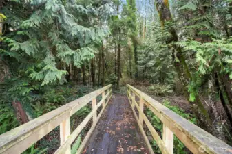 Walkway at waterfrontpark leads to trails and over a fresh water stream.