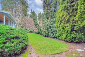 Side/ Front Yard