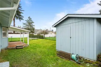 Large shed with a new roof in the back yard.