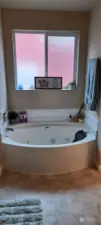 Primary Bath Luxurious jetted  Tub