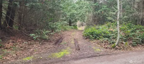 Driveway into the property