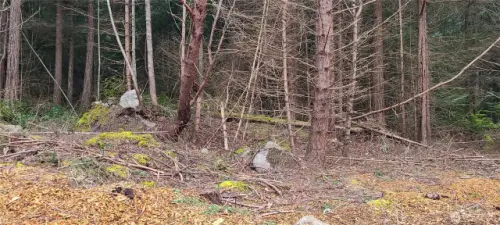 Clearing
