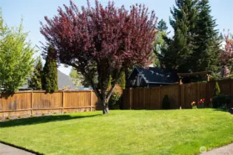 The front yard is huge and great for yard games