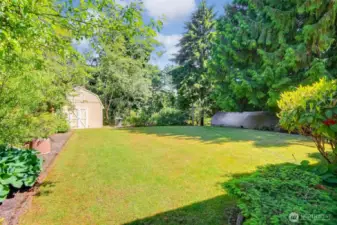 Garden with Shed