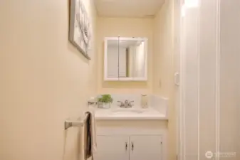 Bathroom in Basement