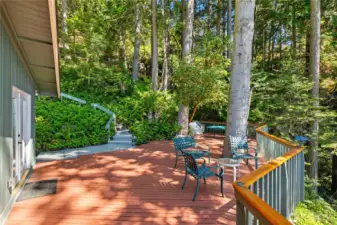 The upper deck, showing the stairway up to the back driveway, and to the two outbuildings.