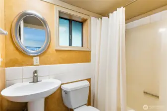The lower level bathroom, also a full bathroom.