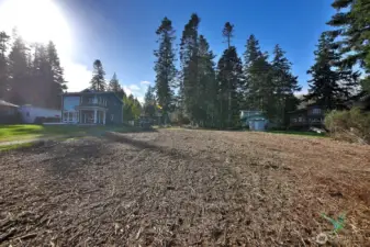 There is a stand of evergreen trees and fern understory at the Salmonberry end of the property.