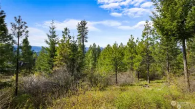 Nestled within the trees...an opportunity to build your mountain home away from the city.