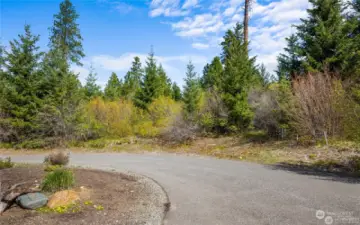 Driveway would come up from the cul-de-sac with views to the S/SW.