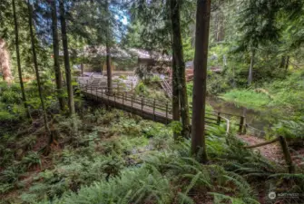Property feels magical, with mature fern gardens, tall trees with many limbed up over the years plus 24 mature palm trees as well! Is this California, but it feels like a Washington State Forest....