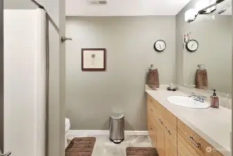 Lower level 3/4 bath.