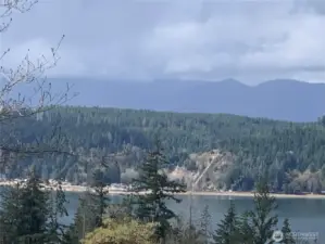 View from Community