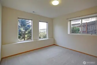 1 of two Lower Level Bedrooms
