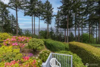 Mature and well cared for plantings.
