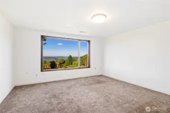 Downstairs Bedroom w/view