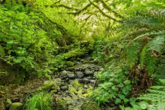 Year round creek, magical place