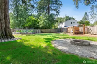 This is a beautiful backyard, fully fenced with a dog run (in the corner) and luxury chicken coop, fire pit, raised garden beds.....it just keeps going.