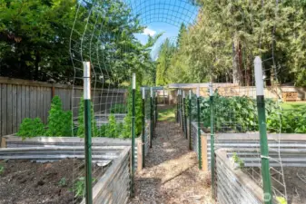 Raised garden beds