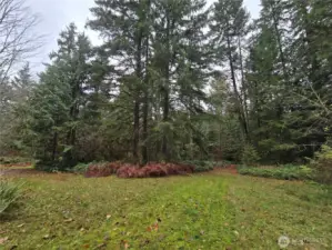 Open space around the old house.