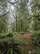 Near the back corner of the property