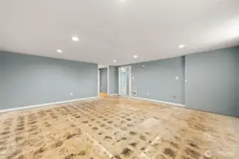 Downstairs Family Room