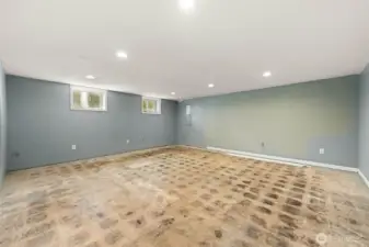 Downstairs Family Room