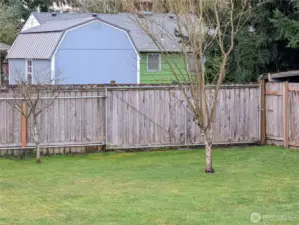 Alley Access with Rolling Gate