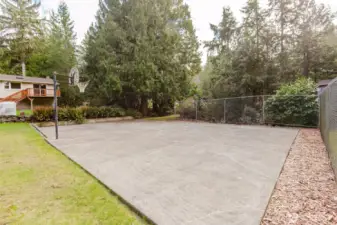 Your own sports court! Basketball hoop, pickle ball, or extra room for out door parties!
