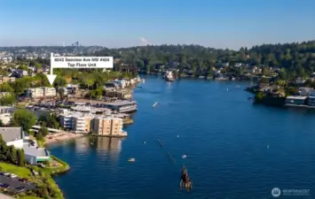 Located right at the entrance to the ship canal.  Enjoy watching the Bald Eagles fly over Magnolia, hear sea lions barking in the distance and watch the boat parade go by.