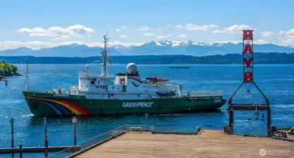 Watch the ever changing boat parade going in and out of the ship canal. Check out those snow capped Olympic mountains.