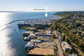 Shilshole Bay Marina has highly desirable moorage for the avid boater!