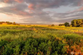 11-acre property with views of the Blues