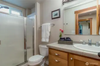 Lower Level bathroom with shower