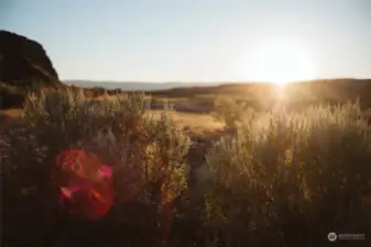 Wake to the sweet smell of sage and 200+ days of sun