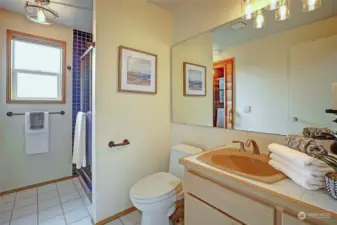 Bathroom with tiled shower on this lower level.