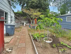 Use the side gate to enter the backyard.