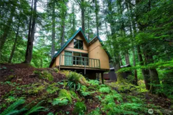Beloved cabin minutes from Vail's Stevens Pass.