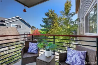 3rd floor balcony off living room, facing southeast