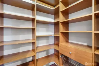 Wow!  Now that's a walk-in pantry