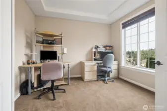 A private main-level den or office offers flexibility for remote work or quiet study. Positioned for privacy, it’s ideal for productivity or creative use. Possible main floor 5th Bedroom, if needed.