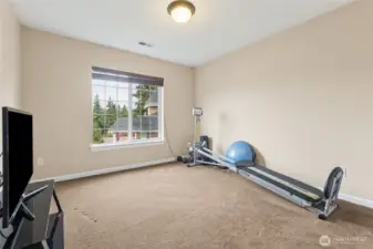 Bedroom #4; Plantation wood blinds throughout the home add warmth, character, and privacy. Their timeless style complements the Craftsman design.
